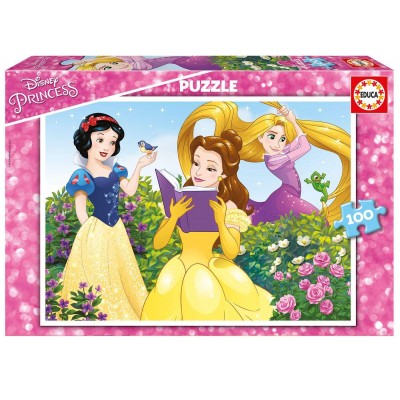 Educa-17167 2 Puzzles - Disney Princess