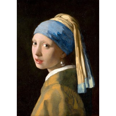 Puzzle Enjoy-Puzzle-1164 Johannes Vermeer : La jeune fille à la perle