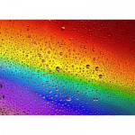 Puzzle  Enjoy-Puzzle-1296 Rainbow Drops