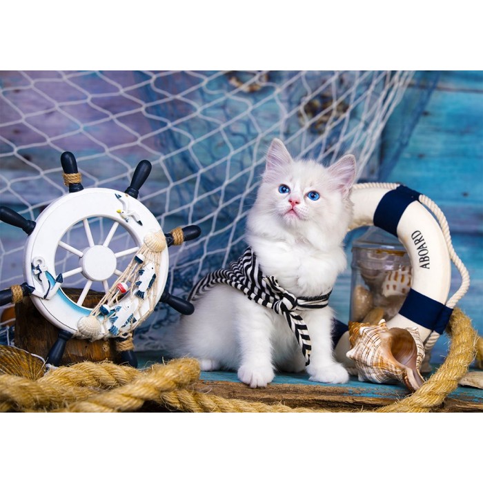 Capitaine Chaton