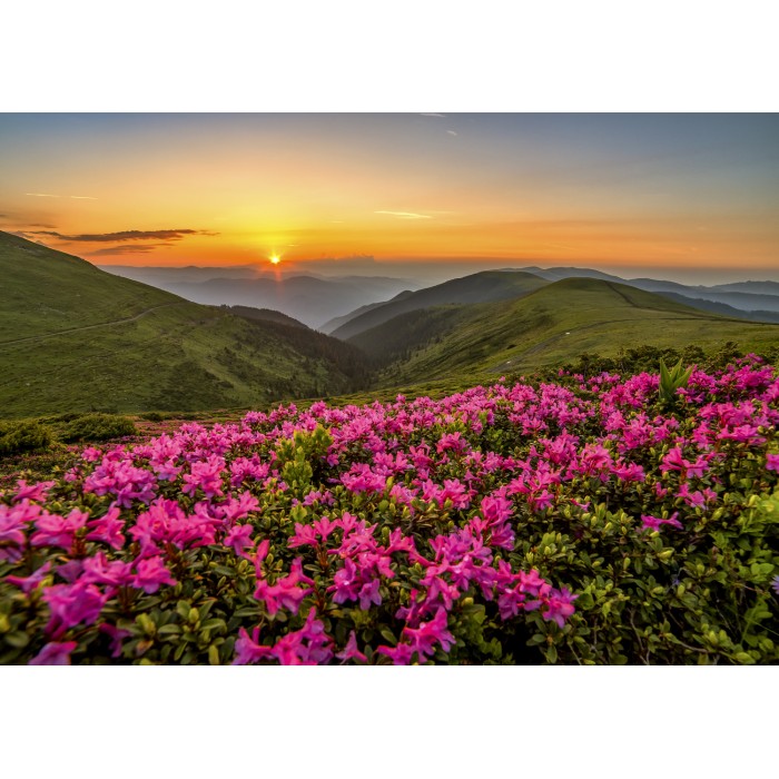 Puzzle  Enjoy-Puzzle-2063 Crépuscule Rose