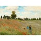 Claude Monet : Champ de coquelicots