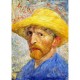 Vincent Van Gogh : Autoportrait au chapeau de paille