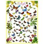 Puzzle  Eurographics-6000-0077 Papillons