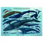 Puzzle  Eurographics-6000-0082 Dauphins et Baleines