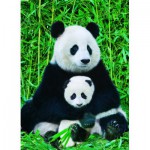Puzzle  Eurographics-6000-0173 La Famille Panda