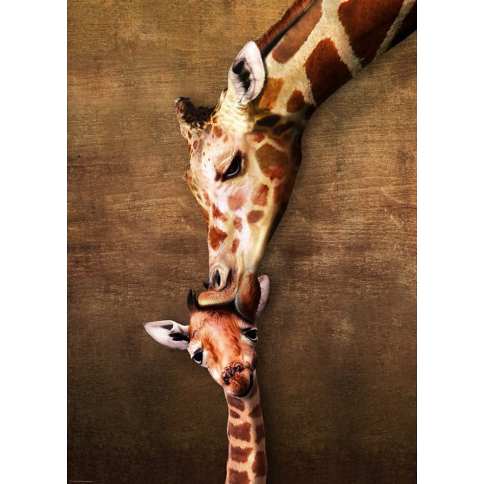La maman girafe et son girafon