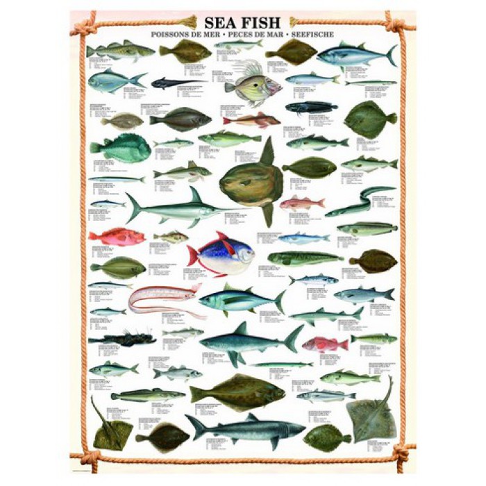 Puzzle Eurographics-6000-0313 Les poissons