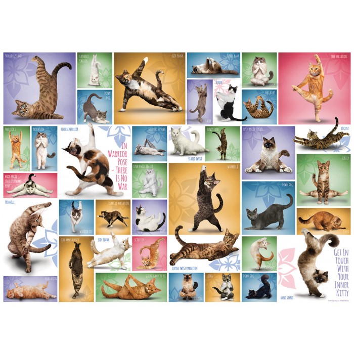 Puzzle Eurographics-6000-0953 Yoga Cats
