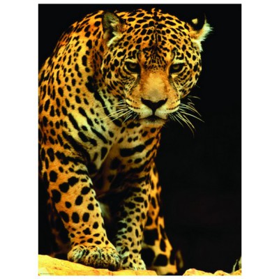 Puzzle Eurographics-6000-1163 Leopard