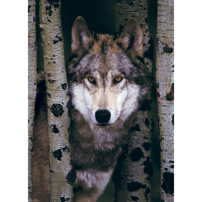 Puzzle  Eurographics-6000-1244 Loup Gris