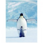 Puzzle  Eurographics-6000-1246 Pingouin et son petit