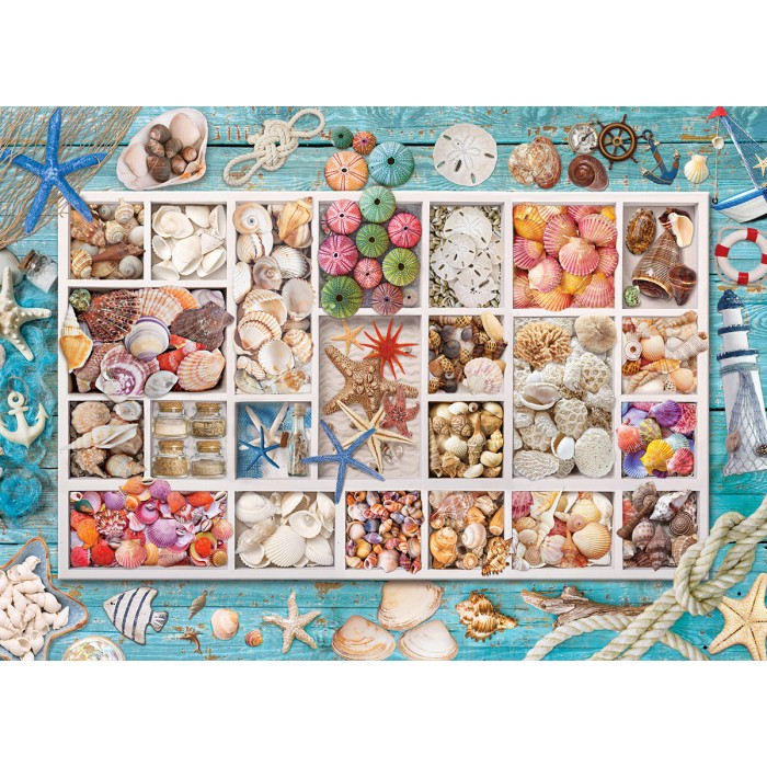 Puzzle  Eurographics-6000-5529 Collection de Coquillages