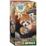 Puzzle   Save the Planet - Red Pandas