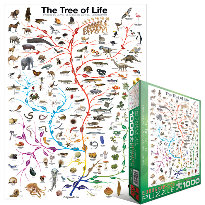 Puzzle L'évolution - l'arbre de vie Eurographics-6000-0282 1000 pièces  Puzzles - Educatifs et ludiques