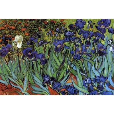 Puzzle Grafika-F-30848 Van Gogh Vincent : Les Iris, 1889