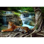 Puzzle  Grafika-F-31070 Tigre et Cascade