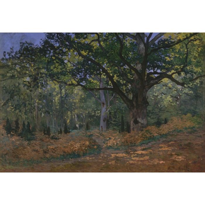 Pièces XXL - Claude Monet: Fontainebleau, 1865