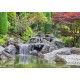 Deutschland Edition - Jardin Japonais, Bonn