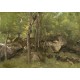 Jean-Baptiste-Camille Corot : Rochers en Forêt de Fontainebleau, 1860-1865