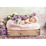Puzzle   Konrad Bak: Baby sleeping in the Lilac
