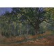 Pièces Magnétiques - Claude Monet: Fontainebleau, 1865