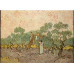 Puzzle   Van Gogh Vincent : Femmes ramassant des Olives, 1889
