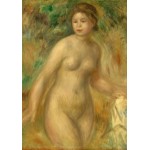 Puzzle   Auguste Renoir : Nu, 1895