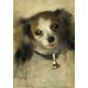 Auguste Renoir : Tête de Chien, 1870