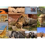 Puzzle   Collage - Wildlife