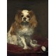 Edouard Manet : Un Cavalier King Charles Spaniel, 1866