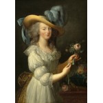 Puzzle   Elisabeth Vigée-Lebrun : Marie-Antoinette, 1783