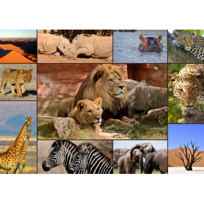 Puzzle Grafika-F-30026 Collage - Wildlife