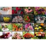 Puzzle  Grafika-F-30100 Collage - Bouquets de Fleurs