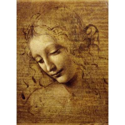 Puzzle Grafika-F-30337 Léonard de Vinci : Visage de Giovane Fanciulla, 1508