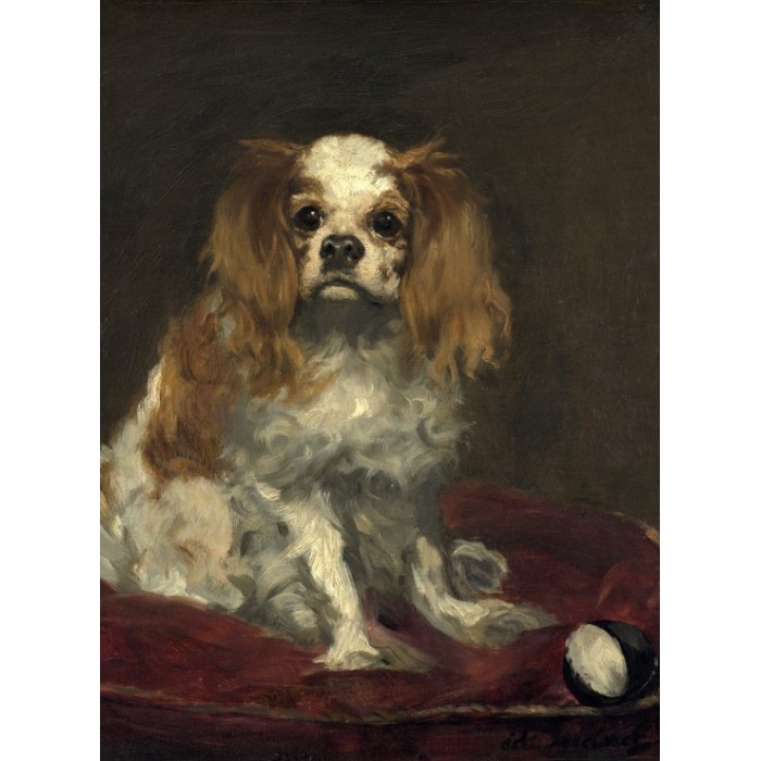 Edouard Manet : Un Cavalier King Charles Spaniel, 1866
