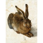 Puzzle  Grafika-F-30470 Albrecht Dürer - Le Lapin, 1502
