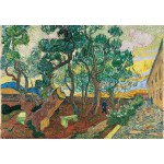 Puzzle  Grafika-F-32769 Vincent Van Gogh - Le parc de l'hôpital, 1889