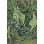 Puzzle  Grafika-F-32770 Vincent Van Gogh - Giant Peacock Moth, 1889