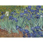 Puzzle  Grafika-F-33320 Vincent Van Gogh - Les Iris, 1889