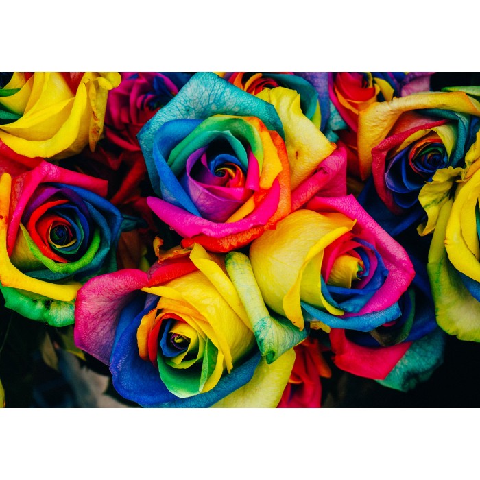 Puzzle   Roses