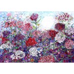 Puzzle   Sally Rich - Sweet William with Butterflies
