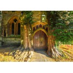 Puzzle   St Edward's Parish Church north door flanked by yew trees