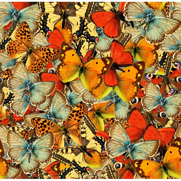 Puzzle Grafika-T-02292 Nuée de Papillons