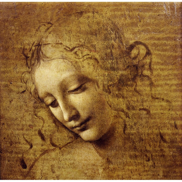 Léonard de Vinci : Visage de Giovane Fanciulla, 1508