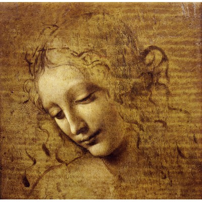 Puzzle Grafika-T-02324 Léonard de Vinci : Visage de Giovane Fanciulla, 1508