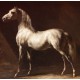 Théodore Géricault : Cheval Arabe Gris-Blanc