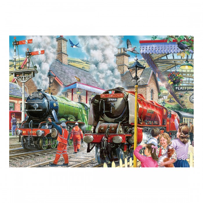 Puzzle  House-Of-Puzzles-HP0701 Vérification De La Ligne
