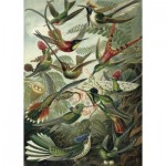 Puzzle  Kiub-78900 Oiseaux