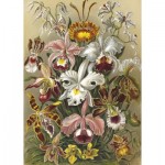 Puzzle  Kiub-80296 Bouquet de Fleurs